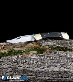 Buck Knives Buck 110 Manual Folding Knife Black Ebony (3.75" Satin) 0110BRS 15 Buck Knives Buck 110 Manual Folding Knife Black Ebony (3.75" Satin) 0110BRS -Knife Discount Store Buck 110 Ebony Manual Folding Knife Satin 0110BRS BHQ 2657 kp log web