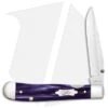 Case Kickstart TrapperLock Assisted Knife Wicked Purple Kirinite (10154AC SS) -Knife Discount Store Case Kickstart TrapperLock Assisted Purple Kirinite 17330 BHQ 109109 jr