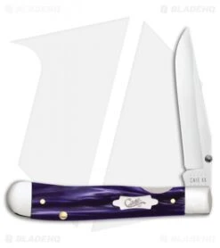 Case Kickstart TrapperLock Assisted Knife Wicked Purple Kirinite (10154AC SS)