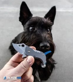 Spyderco Pochi Frame Lock Knife Titanium (1.56" Satin S45VN) 13 Spyderco Pochi Frame Lock Knife Titanium (1.56" Satin S45VN) -Knife Discount Store Spyderco Pochi Frame Lock Knife Titanium Satin S45VN BHQ 112401 kp Lottie the Scottie web